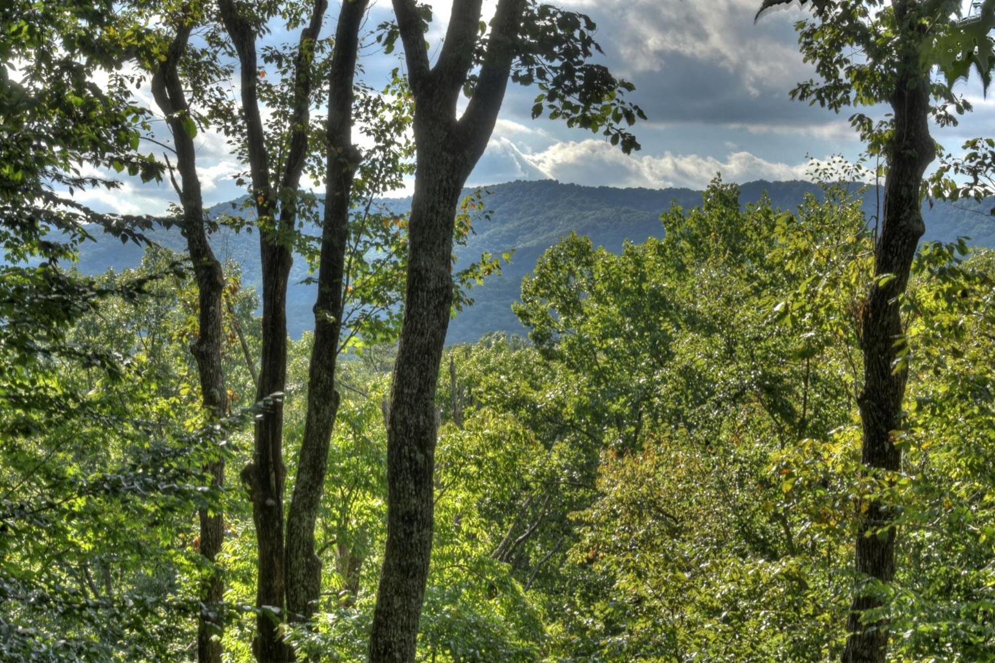 Bearfoot Ridge Wood-Burning Fireplace Cozy Hot Tub Serene Views Ellijay Exterior foto